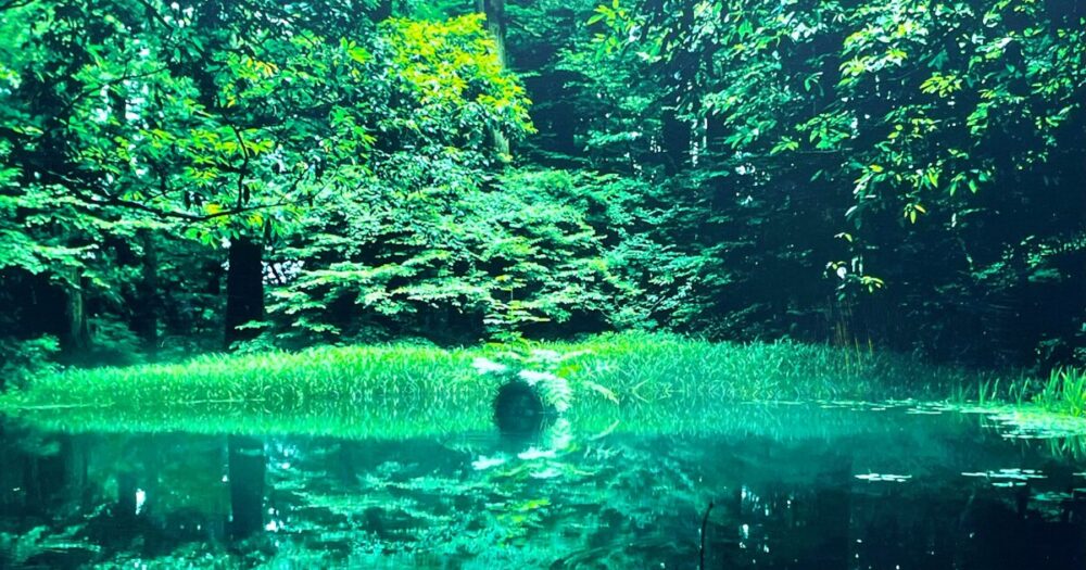 This is the spring where Taicho Daishi met Izanami-no-Mikoto and received a prophecy that this was the place.