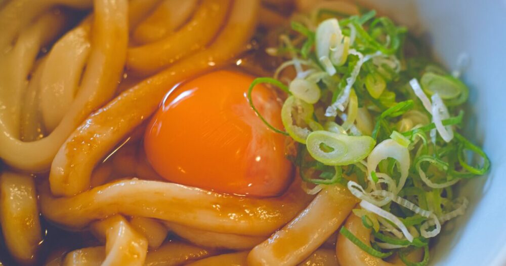 Close-up of Ise udon